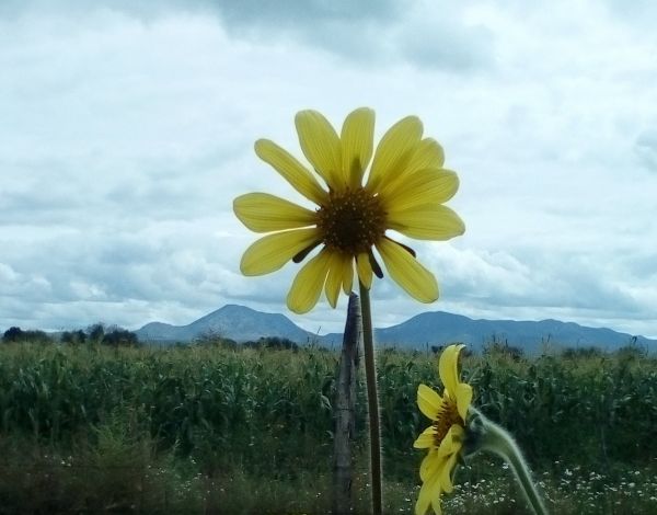 foto:Cristofer Contreras González - lo hecho en México