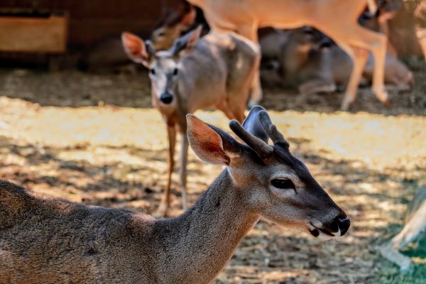 foto:Gabriel Sanchez Hernández  - lo hecho en México