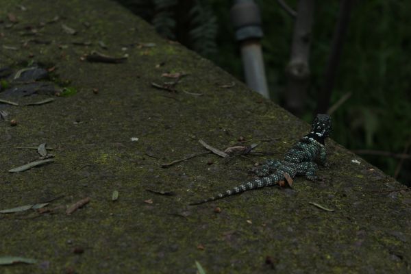 foto:Saron Fernanda Sánchez López - lo hecho en México