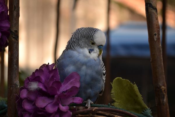 foto:Karla Angélica  Espinoza Herrera  - lo hecho en México