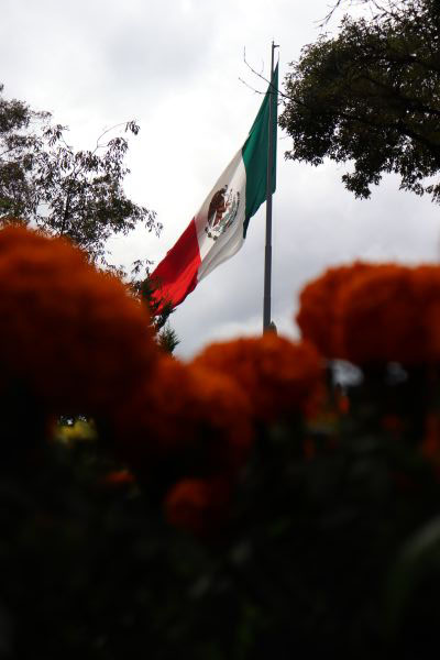 foto:Saul Martinez Sosa - lo hecho en México