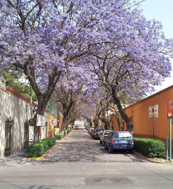foto:Patricia Hernández Navarro - lo hecho en México