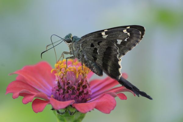 foto:Manuel de Jesus Hernandez Ancheita - lo hecho en México