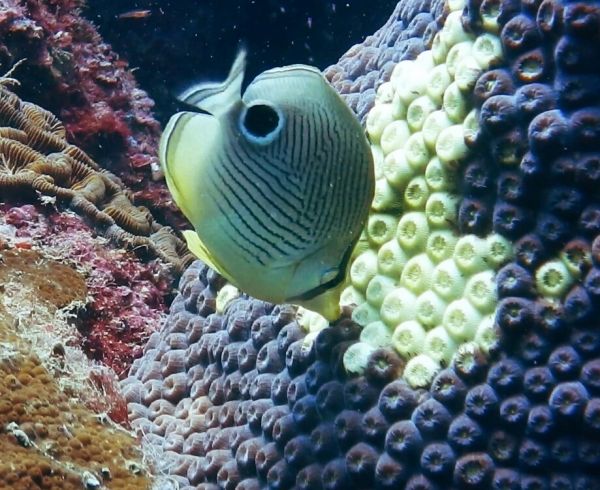 foto:Daniel Ernesto Pérez Galván - lo hecho en México