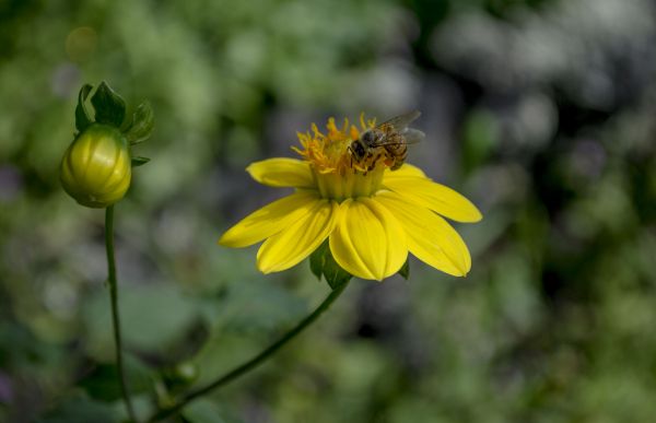 foto:claudia  pineda  romero - lo hecho en México