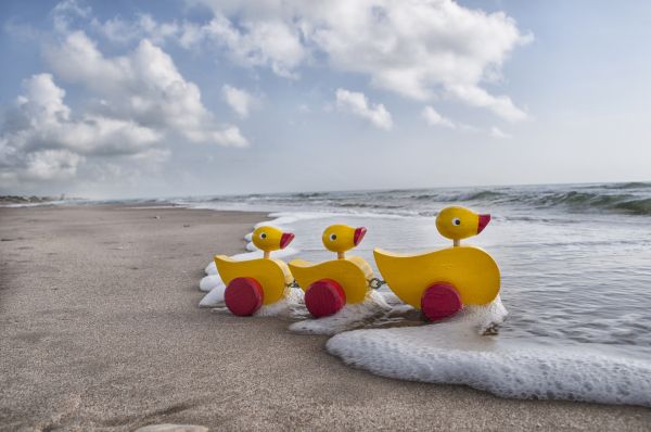 foto:Claudia Martha Zamudio Mainou - lo hecho en México