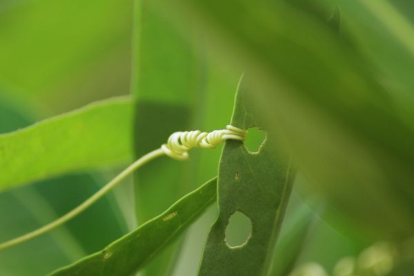 foto:Josue Ávila Navarro - lo hecho en México