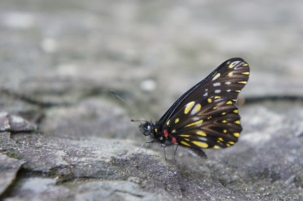 foto:Esteban  Vieyra Vargas - lo hecho en México