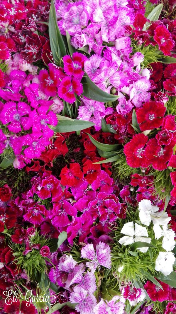 foto:Samuel eli Caballero García  - lo hecho en México