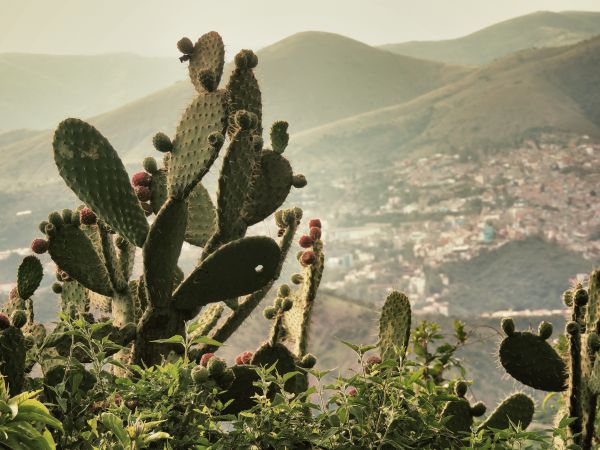 foto:Anatolij Hernandez Tkatschinski - lo hecho en México