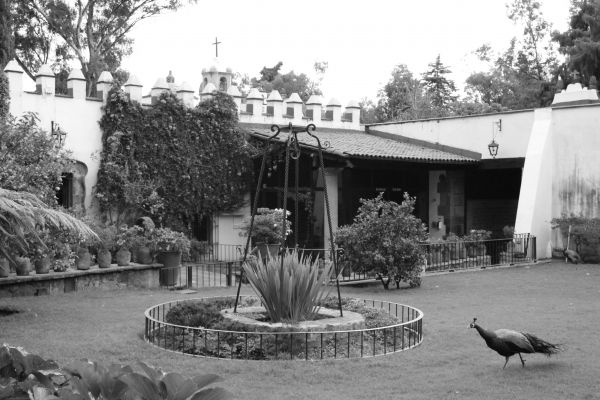 foto:Arturo  Anguiano Escobar - lo hecho en México