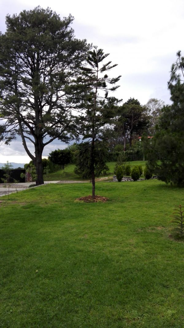 foto:Mario Cristóbal Bahena Rangel - lo hecho en México