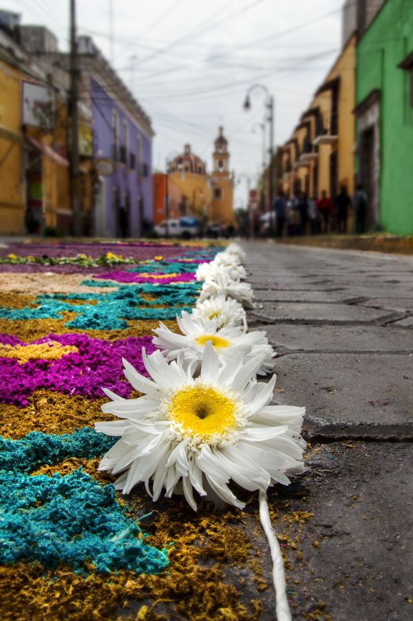 foto:ESTEBAN REYES RODRIGUEZ - lo hecho en México