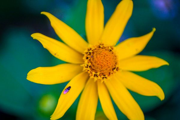 foto:Thyara Amairani Pineda Tovar - lo hecho en México