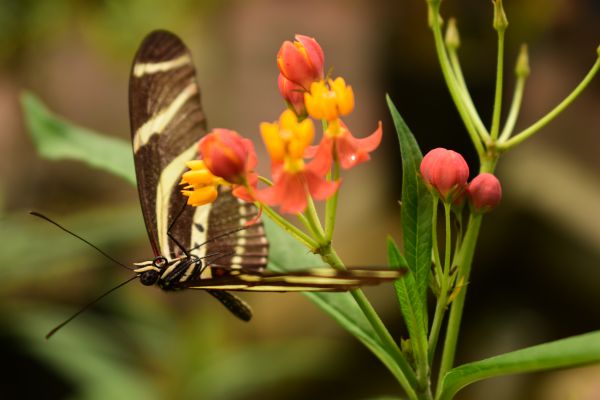 foto:Casandra Hernández Ortiz - lo hecho en México