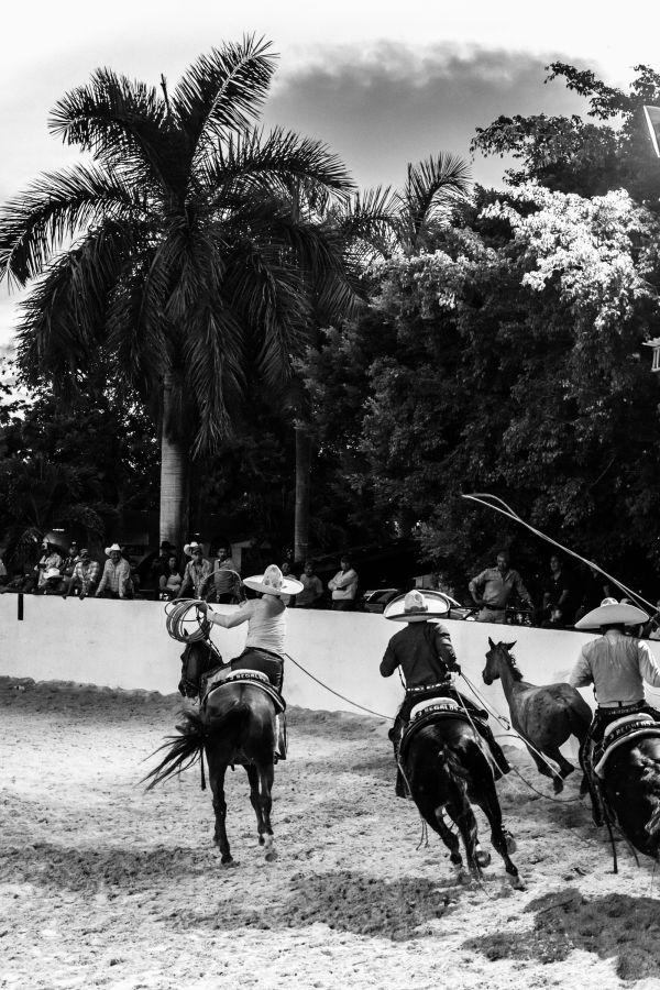 foto:Eleusis Llanderal  Arango - lo hecho en México