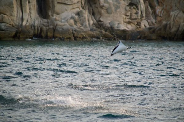 foto:Maria Fernanda Cano Mondragon  - lo hecho en México