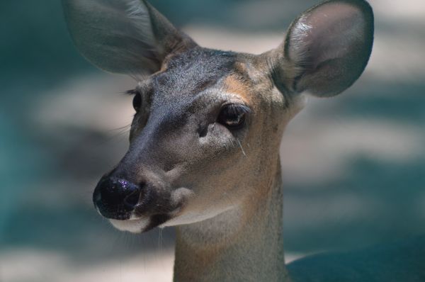 foto:NORA ANDALÓN GALINDO - lo hecho en México