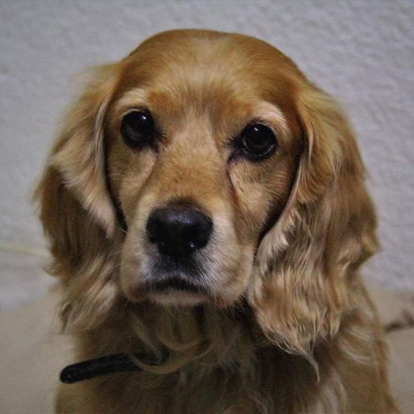 foto:Ana Martha Hernández  Malagón  - lo hecho en México