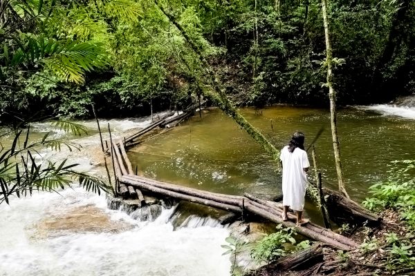 foto:michel gabriel duffour jaffre - lo hecho en México