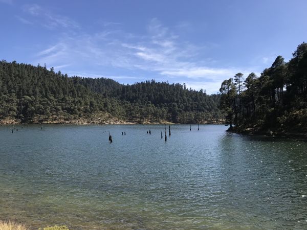 foto:Estefania Torres  Medina - lo hecho en México