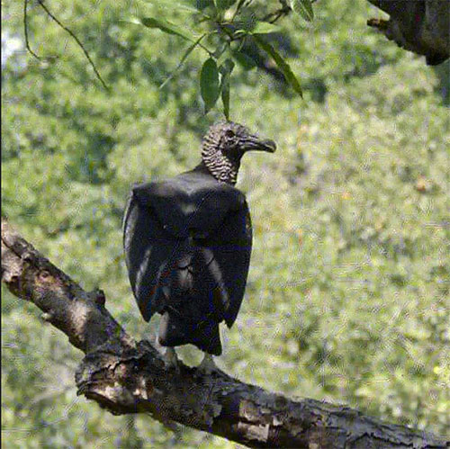foto:Natlleli Dac Téllez - lo hecho en México