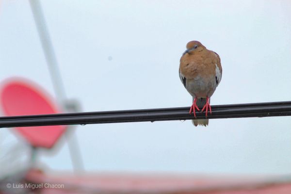 foto:Luis Miguel Chacón Torres - lo hecho en México