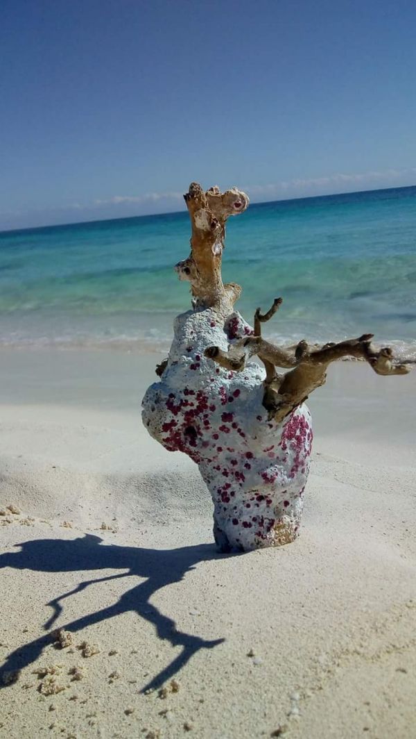 foto:Oscar Jesús Alarcón Sánchez - lo hecho en México