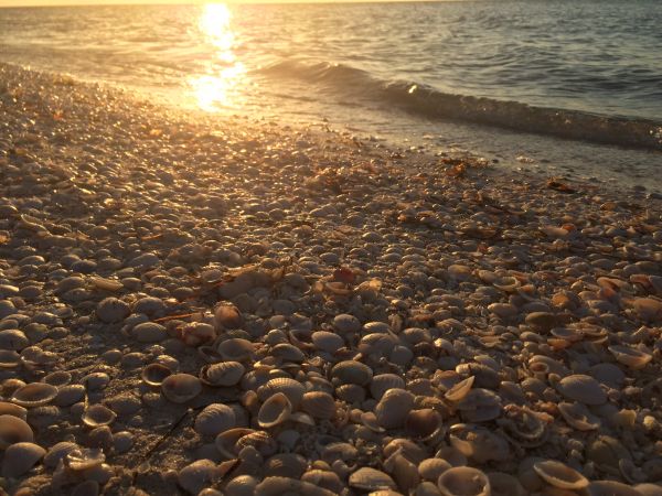 foto:Raúl rafael  Campos  Escalante  - lo hecho en México