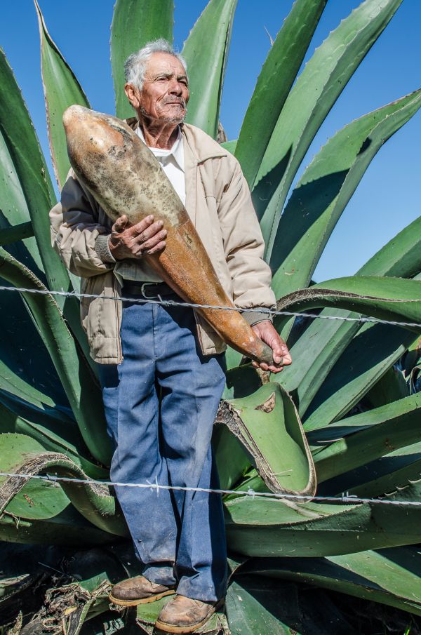foto:Carlos Octavio Mendoza Ochoa - lo hecho en México