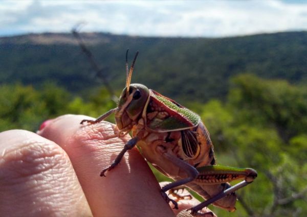 foto:Karla Valeria Álvarez López - lo hecho en México