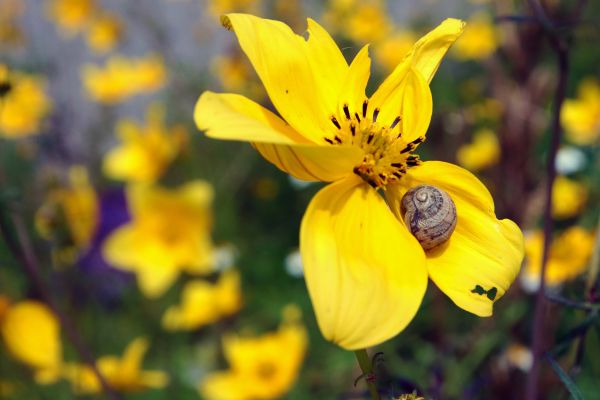 foto:Valeria Monserrat Gómez  Giese - lo hecho en México