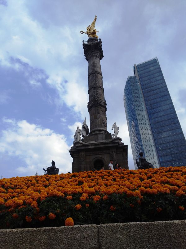 foto:JOSE ANTONIO TORRES GONZALEZ - lo hecho en México