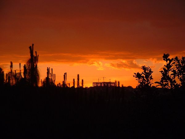 foto:Rosa María Igartúa Méndez Padilla - lo hecho en México