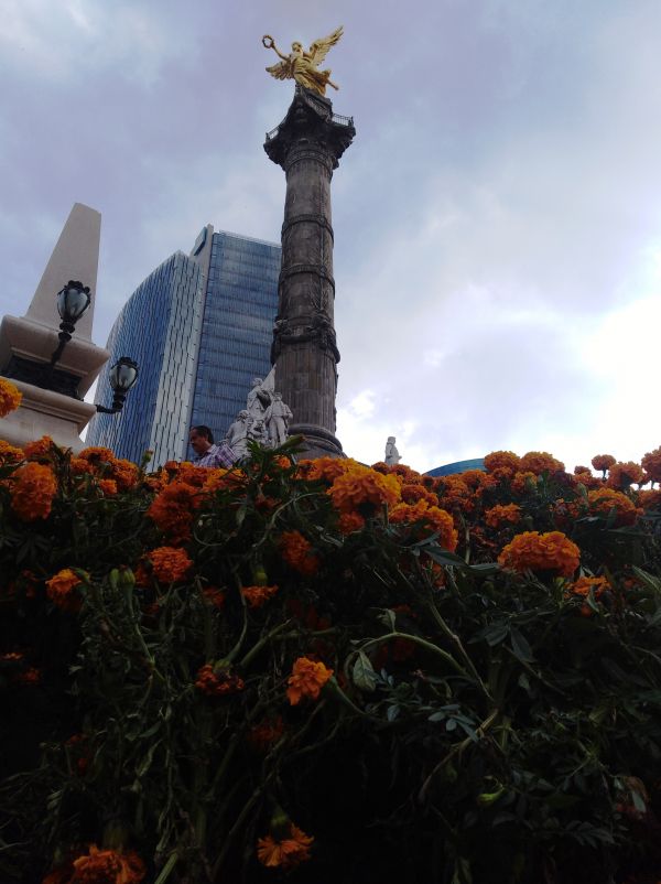 foto:JOSE ANTONIO TORRES GONZALEZ - lo hecho en México