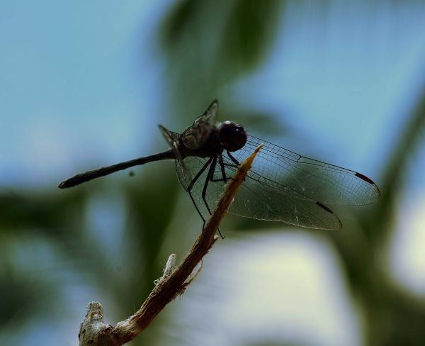 foto:alberto galindo herrera - lo hecho en México