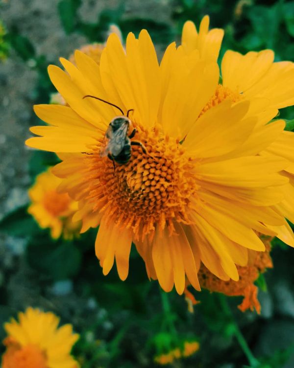 foto:Delia Vianeth Cárdenas Guzmán - lo hecho en México