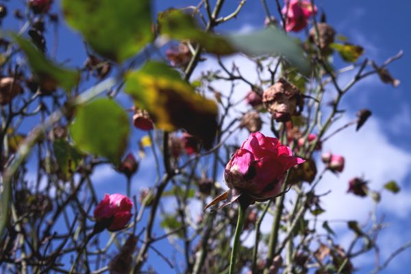 foto:Andrés Matarife NoAplica - lo hecho en México