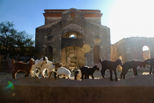 foto:Marie González Estefan - lo hecho en México