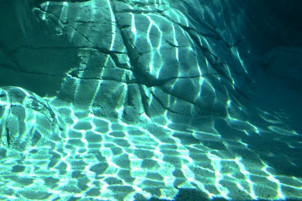 foto:Brenda Ugalde Castro - lo hecho en México