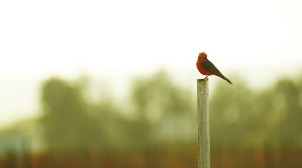 foto:Ana Karen Contreras Sánchez - lo hecho en México