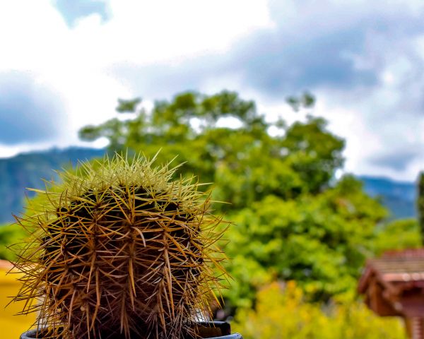 foto:Jorge Erick Bravo Castillo - lo hecho en México