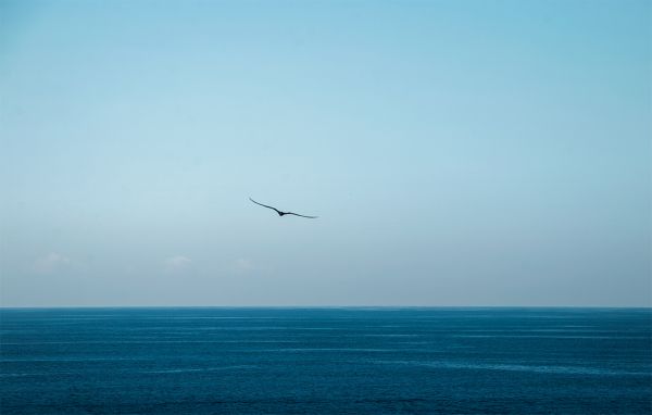 foto:Ana Cristina Santamaria Cruz - lo hecho en México