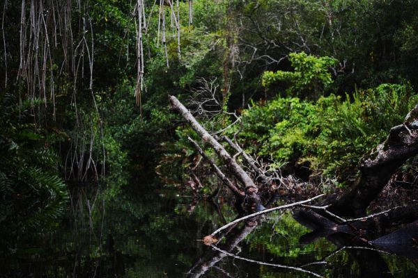 foto:Mariana  Vidal  Álvarez  - lo hecho en México