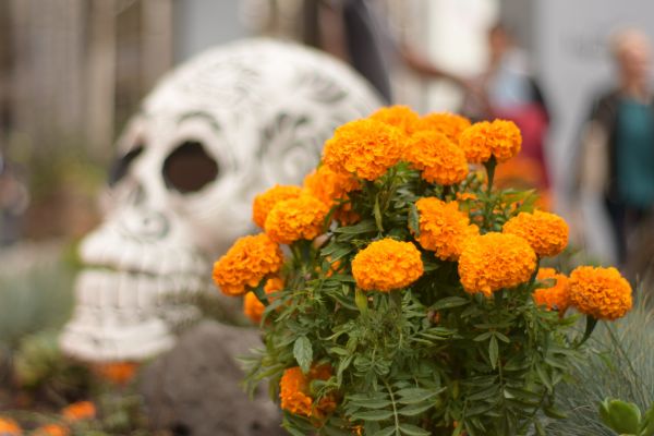 foto:CESAR GARCIA UTRILLA - lo hecho en México