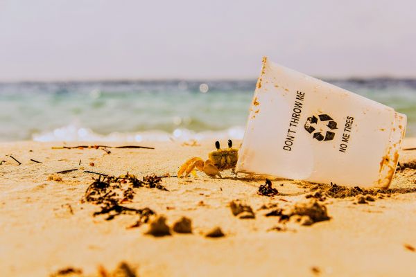 foto:José Antonio García Henaine - lo hecho en México