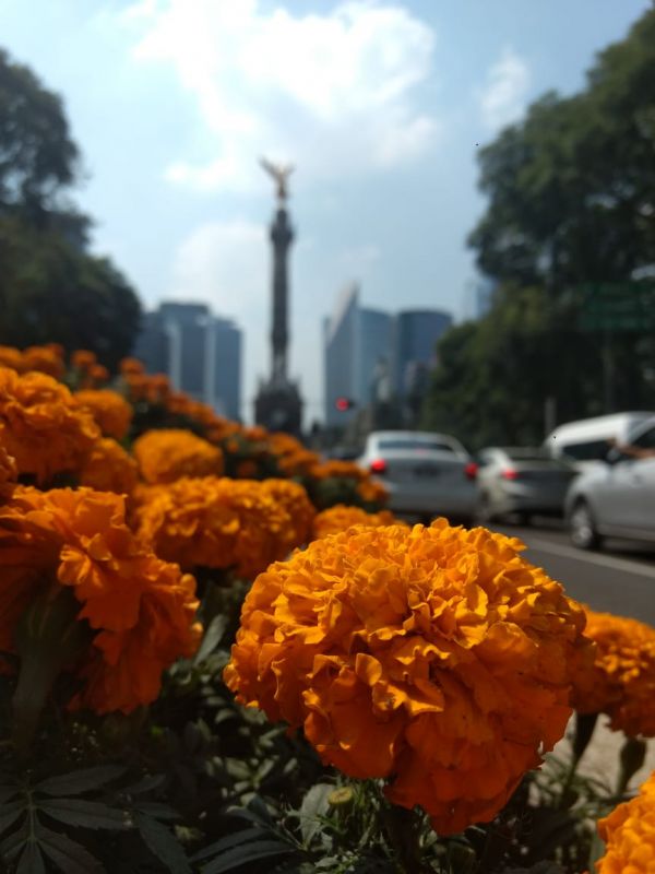 foto:Víctor manuel García Hernández - lo hecho en México