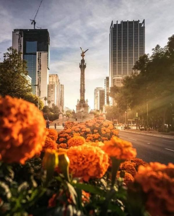 foto:Jorge Dominguez Trigos - lo hecho en México