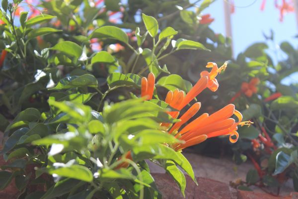 foto:Berenice Colín Ramírez - lo hecho en México