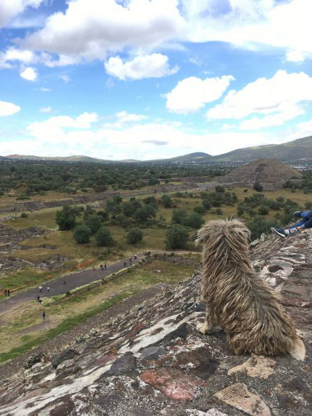 foto:Carlos E. Ibáñez González - lo hecho en México